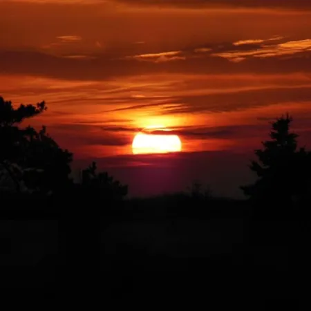 Hotell Stranddistel *