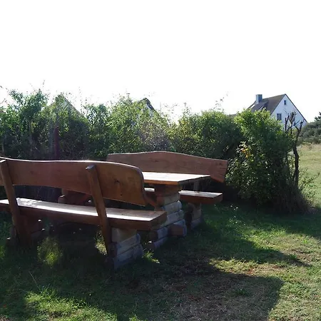 Stranddistel * Neuendorf (Hiddensee)