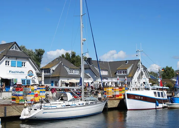 Stranddistel *