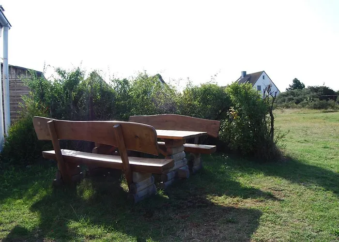Stranddistel * Neuendorf (Hiddensee)